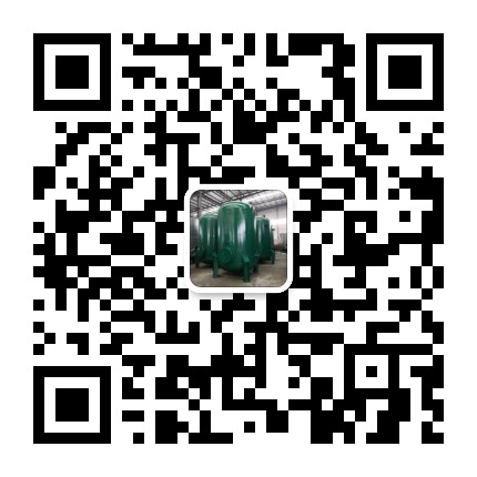 微信咨询